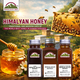 Traditional and Modern Uses of the World Best Honey in Human Diseases