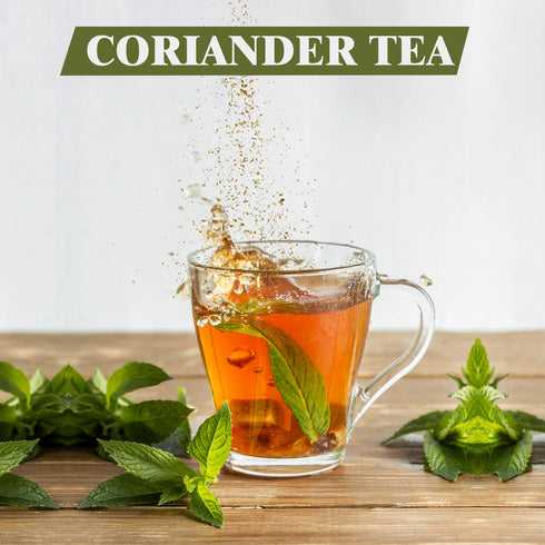 Coriander Powder Plastic Shaker - 0.26 lbs (120g) | Himalayan Chef