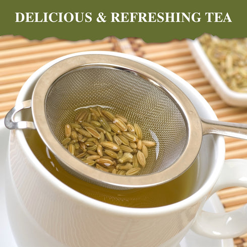 Fennel Seeds 0.2 lbs (100g) | Himalayan Chef