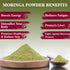 Organic Moringa Powder - 100g | Himalayan Chef