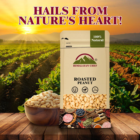 Roasted Peanut without Shell - 0.7 lbs (300g) | Himalayan Chef