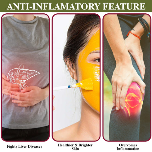 Turmeric Powder - 20 lbs (9000g) | Himalayan Chef