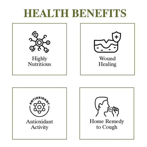 Black Forest Honey - 1 lbs (480g) | Himalayan Chef