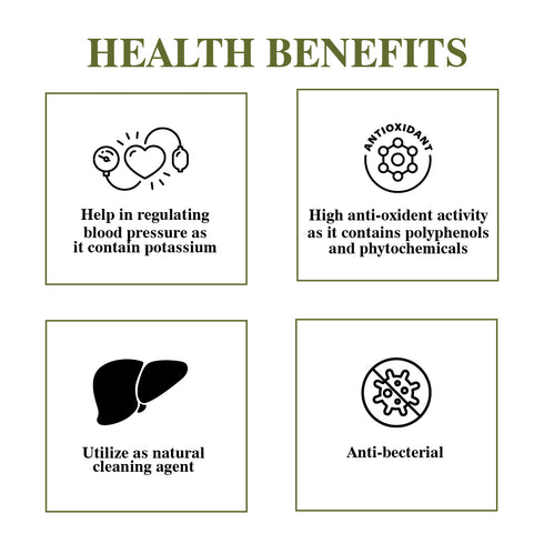 Coriander Seeds Large Plastic Shaker - 95g | Himalayan Chef