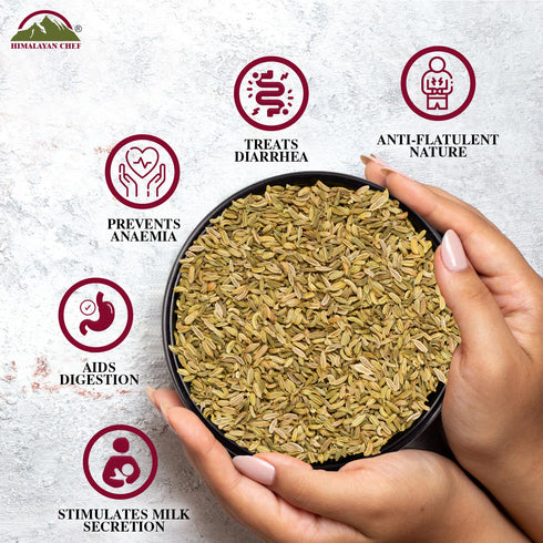 Fennel Seeds 0.2 lbs (100g) | Himalayan Chef