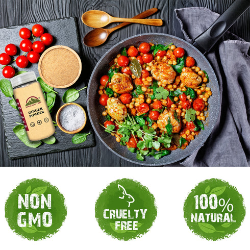 Ginger Powder Plastic Shaker - 0.35 lbs (160g) | Himalayan Chef