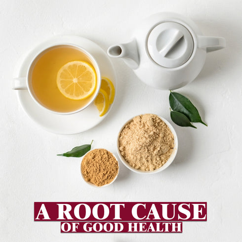 Ginger Powder - 0.22 lbs (100g) | Himalayan Chef