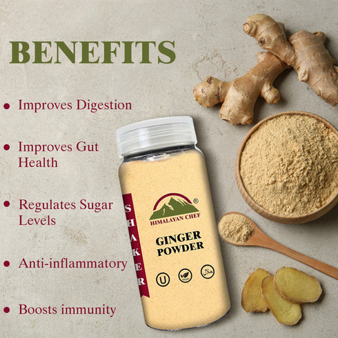 Ginger Powder Plastic Shaker - 0.35 lbs (160g) | Himalayan Chef