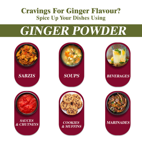Ginger Powder - 0.22 lbs (100g) | Himalayan Chef