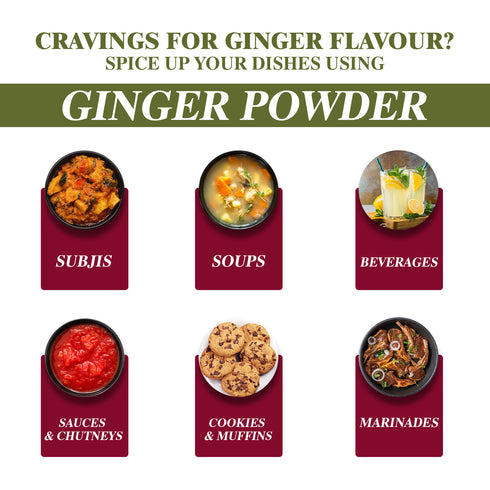 Ginger Powder Plastic Shaker - 0.35 lbs (160g) | Himalayan Chef